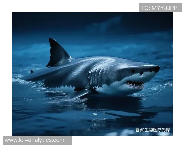 鲨鱼与姚明的奇妙相遇探讨海洋与篮球的奇幻交融之旅